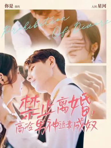 《禁止离婚，高冷男神追妻成奴》：反套路甜宠剧？看霸总如何沦为妻奴！