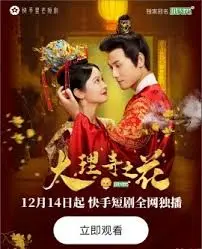 《大理寺之花》：悬疑探案下的绝美风华，谁才是隐藏的幕后真凶？