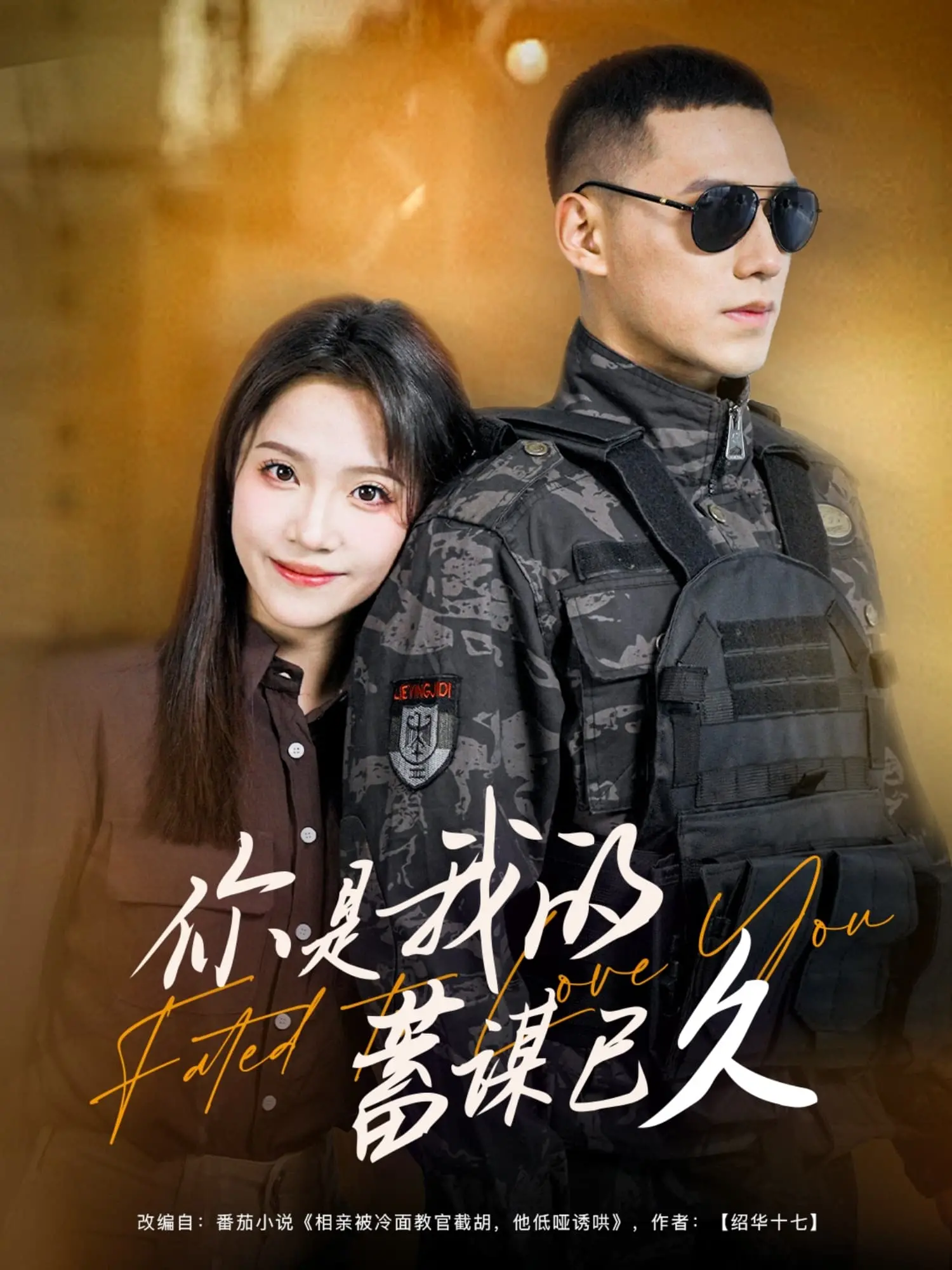 《你是我的蓄谋已久》：揭秘爱情的套路与真心，甜宠背后的深情告白