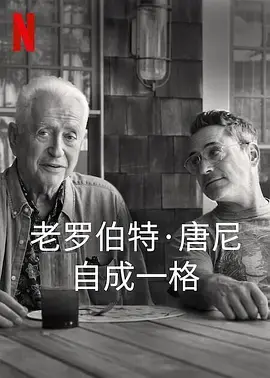 从钢铁侠到人生赢家：《罗伯特·唐尼：自成一格》纪录片深度剖析，看他如何逆风翻盘！