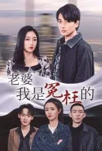 《老婆我是冤枉的》：一部让人捧腹不止的“冤案”喜剧，笑出眼泪的误会与反转！