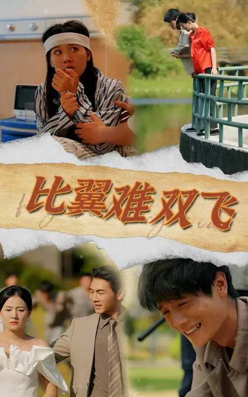 《比翼难双飞》：一场关于遗忘与重生的心灵救赎，911背后的惊魂记忆！